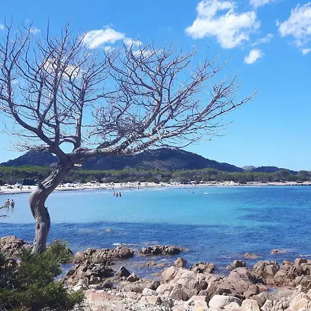 Apartman Pietramarina 4 Posti Cala Liberotto